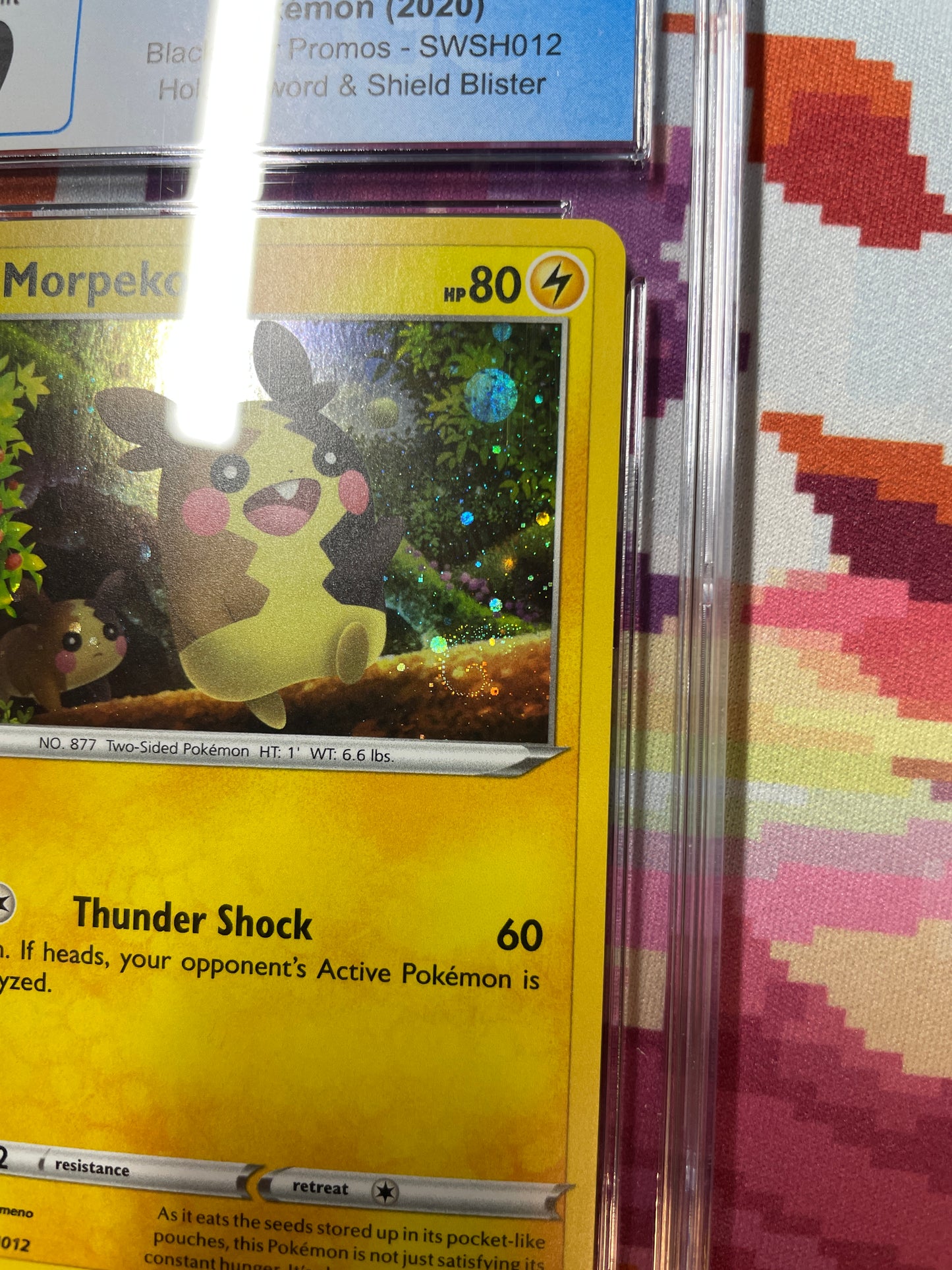 2020 Pokémon Black Star Promos Morpeko (Swirl) SWSH012 CGC 9 Mint