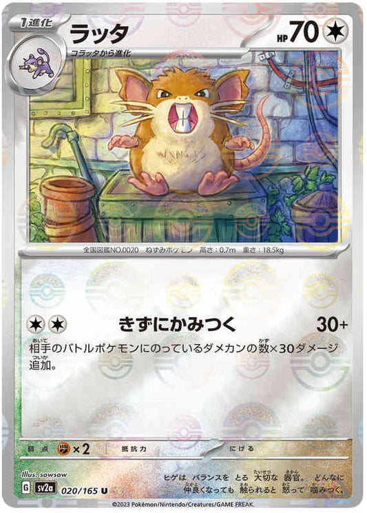 Pokemon Japanese sv2a 020/165 Raticate (Poke Ball) Reverse Holo